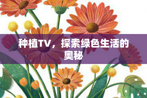 种植TV，探索绿色生活的奥秘