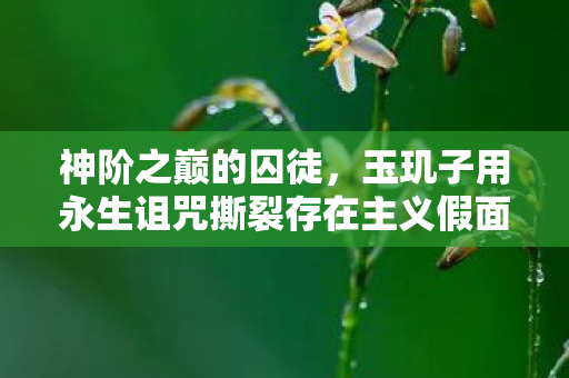 神阶之巅的囚徒,玉玑子用永生诅咒撕裂存在主义假面 神阶之巅的囚徒,玉玑子用永生诅咒撕裂存在主义假面