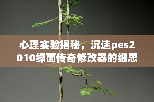心理实验揭秘,沉迷pes2010绿茵传奇修改器的细思极恐真相 心理实验揭秘,沉迷pes2010绿茵传奇修改器的细思极恐真相