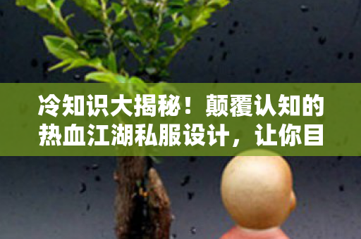 冷知识大揭秘!颠覆认知的热血江湖私服设计,让你目瞪口呆! 冷知识大揭秘!颠覆认知的热血江湖私服设计,让你目瞪口呆!