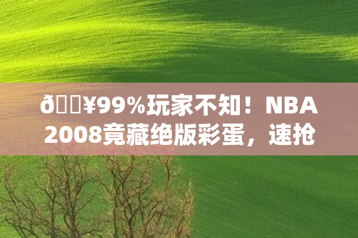 🔥99%玩家不知!NBA2008竟藏绝版彩蛋,速抢最后下载通道! 🔥99%玩家不知!NBA2008竟藏绝版彩蛋,速抢最后下载通道!