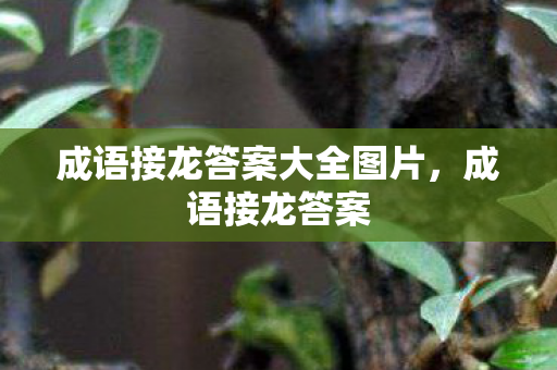 成语接龙答案大全图片，成语接龙答案