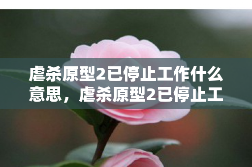 虐杀原型2已停止工作什么意思，虐杀原型2已停止工作