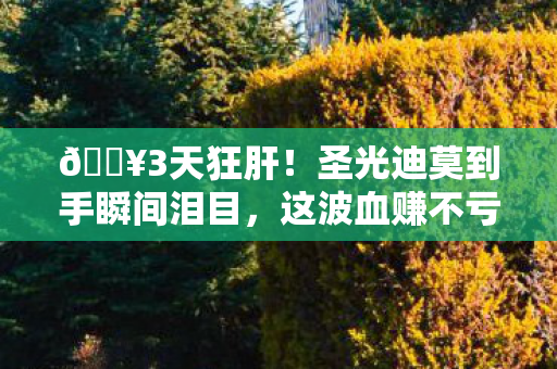 圣光迪莫到手瞬间泪目图片