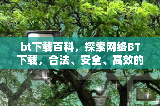 bt下载百科,探索网络BT下载,合法、安全、高效的选择 bt下载百科,探索网络BT下载,合法、安全、高效的选择