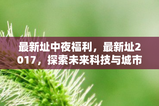 最新址中夜福利，最新址2017，探索未来科技与城市发展的交汇点
