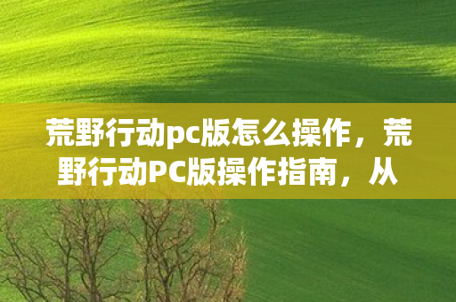 荒野行动pc版怎么操作，荒野行动PC版操作指南，从入门到精通的全面解析