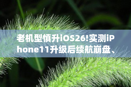 老机型慎升iOS26!实测iPhone11升级后续航崩盘、性,老机LSJ95,经典再现,情怀与技术的交响曲 老机型慎升iOS26!实测iPhone11升级后续航崩盘、性,老机LSJ95,经典再现,情怀与技术的交响曲