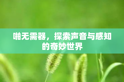 啪无需器，探索声音与感知的奇妙世界