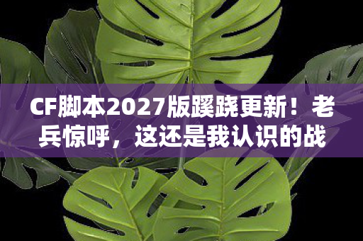 CF脚本2027版蹊跷更新!老兵惊呼,这还是我认识的战场吗? CF脚本2027版蹊跷更新!老兵惊呼,这还是我认识的战场吗?