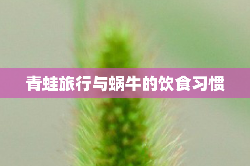 青蛙旅行与蜗牛的饮食习惯