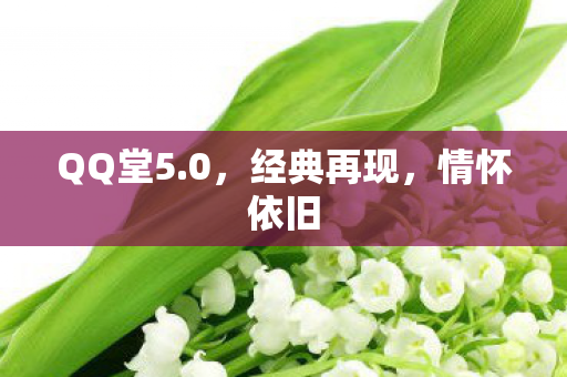 QQ堂5.0，经典再现，情怀依旧