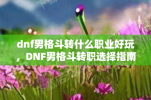 dnf男格斗转什么职业好玩，DNF男格斗转职选择指南，打造最强战斗力的职业推荐