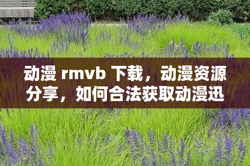 动漫 rmvb 下载,动漫资源分享,如何合法获取动漫迅雷下载地址 动漫 rmvb 下载,动漫资源分享,如何合法获取动漫迅雷下载地址