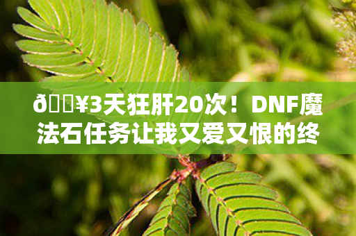 🔥3天狂肝20次!DNF魔法石任务让我又爱又恨的终极体验! 🔥3天狂肝20次!DNF魔法石任务让我又爱又恨的终极体验!