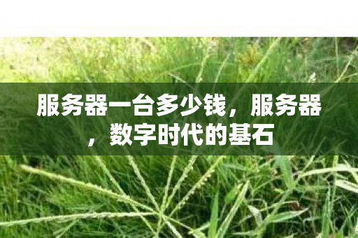 服务器一台多少钱，服务器，数字时代的基石