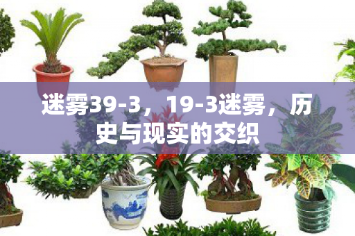 迷雾39-3，19-3迷雾，历史与现实的交织