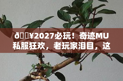 🔥2027必玩!奇迹MU私服狂欢,老玩家泪目,这才是青春啊! 🔥2027必玩!奇迹MU私服狂欢,老玩家泪目,这才是青春啊!