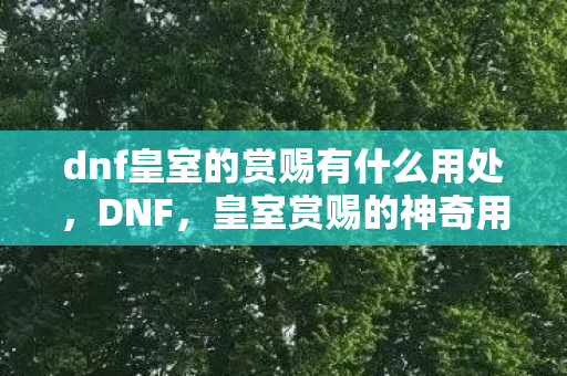 dnf皇室的赏赐有什么用处，DNF，皇室赏赐的神奇用途与影响