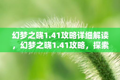 幻梦之晓1.41攻略详细解读，幻梦之晓1.41攻略，探索未知，解锁隐藏成就