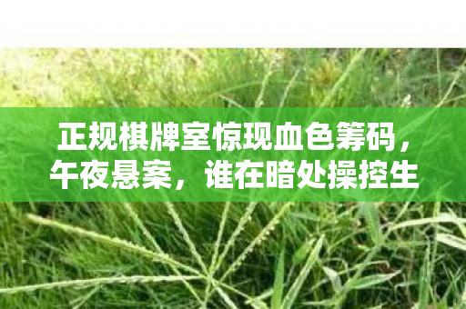 正规棋牌室惊现血色筹码图片