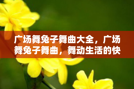 广场舞兔子舞曲大全,广场舞兔子舞曲,舞动生活的快乐旋律 广场舞兔子舞曲大全,广场舞兔子舞曲,舞动生活的快乐旋律