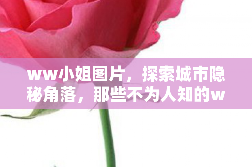 ww小姐图片,探索城市隐秘角落,那些不为人知的ww.小姐故事 ww小姐图片,探索城市隐秘角落,那些不为人知的ww.小姐故事