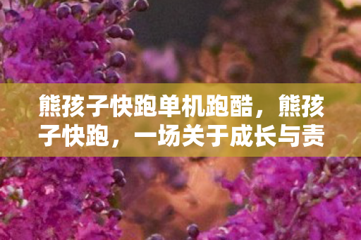 熊孩子快跑单机跑酷，熊孩子快跑，一场关于成长与责任的追逐