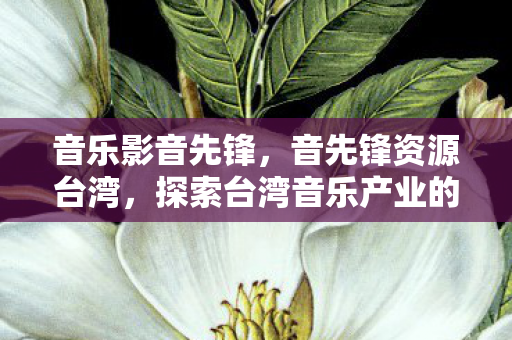 音乐影音先锋，音先锋资源台湾，探索台湾音乐产业的独特魅力