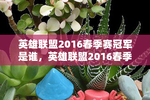 英雄联盟2016春季赛冠军是谁，英雄联盟2016春季赛，战火重燃，英雄争霸