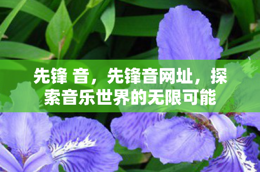 先锋 音,先锋音网址,探索音乐世界的无限可能 先锋 音,先锋音网址,探索音乐世界的无限可能