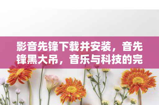 影音先锋下载并安装，音先锋黑大吊，音乐与科技的完美融合