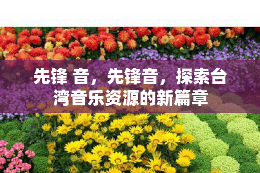 先锋 音，先锋音，探索台湾音乐资源的新篇章