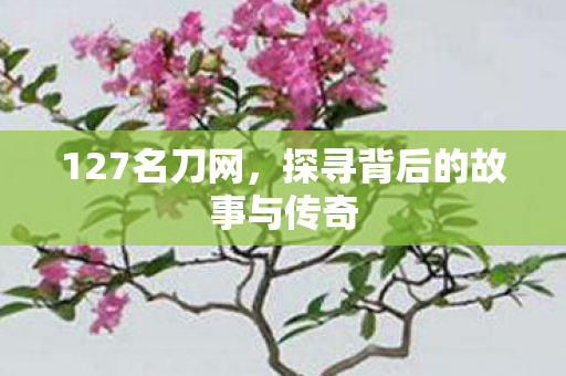 127名刀网，探寻背后的故事与传奇
