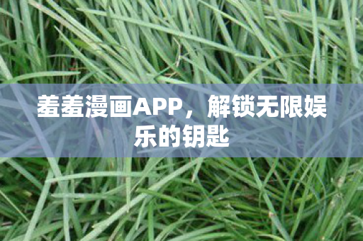 羞羞漫画APP，解锁无限娱乐的钥匙