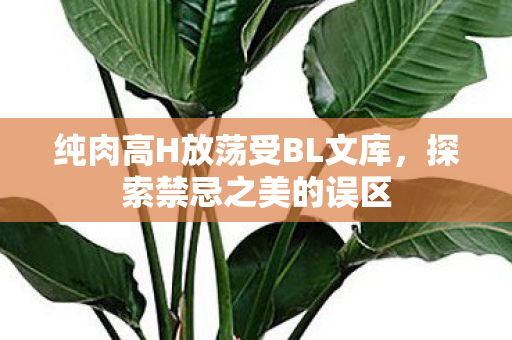 纯肉高H放荡受BL文库,探索禁忌之美的误区 纯肉高H放荡受BL文库,探索禁忌之美的误区