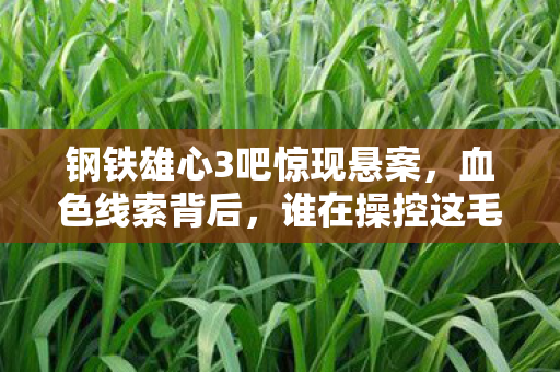 钢铁雄心3吧惊现悬案,血色线索背后,谁在操控这毛骨悚然杀戮? 钢铁雄心3吧惊现悬案,血色线索背后,谁在操控这毛骨悚然杀戮?