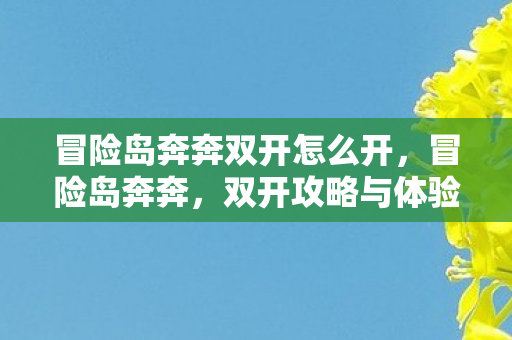 冒险岛奔奔双开怎么开,冒险岛奔奔,双开攻略与体验分享 冒险岛奔奔双开怎么开,冒险岛奔奔,双开攻略与体验分享