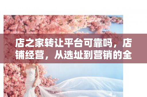 店之家转让平台可靠吗,店铺经营,从选址到营销的全方位指南 店之家转让平台可靠吗,店铺经营,从选址到营销的全方位指南