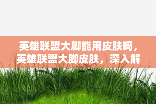 英雄联盟大脚能用皮肤吗，英雄联盟大脚皮肤，深入解析与体验分享