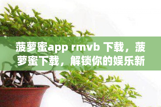 菠萝蜜app rmvb 下载，菠萝蜜下载，解锁你的娱乐新体验