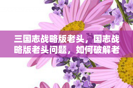 三国志战略版老头，国志战略版老头问题，如何破解老龄化挑战，实现可持续发展