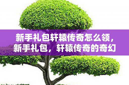 新手礼包轩辕传奇怎么领，新手礼包，轩辕传奇的奇幻之旅