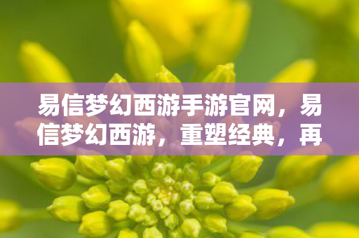 易信梦幻西游手游官网，易信梦幻西游，重塑经典，再续前缘