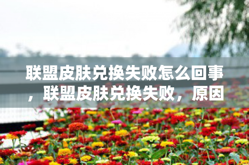 联盟皮肤兑换失败怎么回事,联盟皮肤兑换失败,原因与解决方案 联盟皮肤兑换失败怎么回事,联盟皮肤兑换失败,原因与解决方案