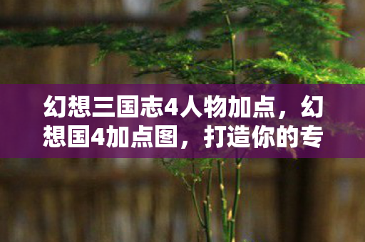 幻想三国志4人物加点，幻想国4加点图，打造你的专属角色，探索无限可能