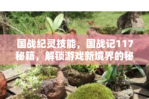 国战纪灵技能，国战记117秘籍，解锁游戏新境界的秘钥