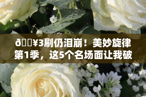 🔥3刷仍泪崩！美妙旋律第1季，这5个名场面让我破防了！