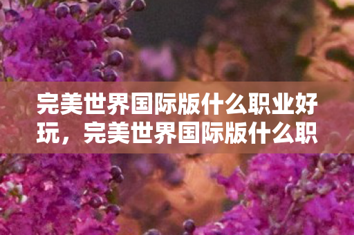 完美世界国际版什么职业好玩，完美世界国际版什么职业好？全方位解析各大职业特点助你做出选择