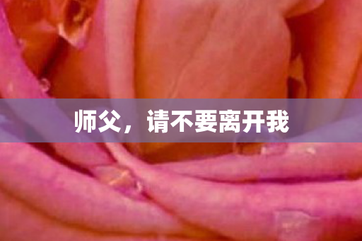 师父,请不要离开我 师父,请不要离开我